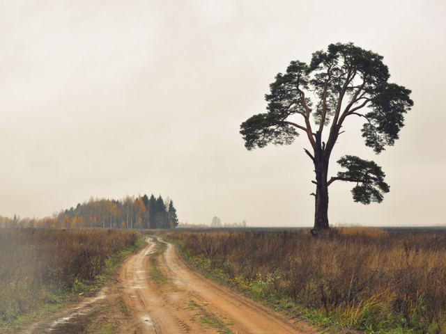 Осеннее настроение.