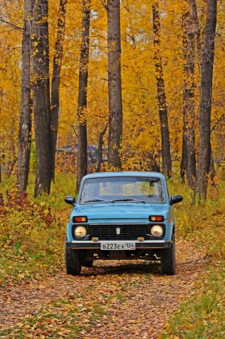 засентябрило