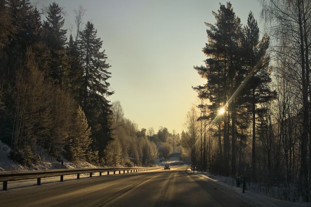 Дорога домой