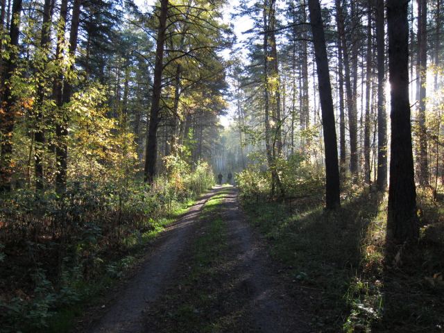 Грибники