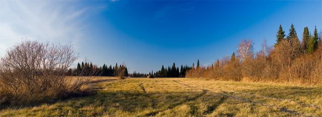 Скоро зима(панорамка)