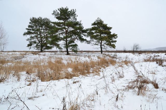 DSC_0127.JPG