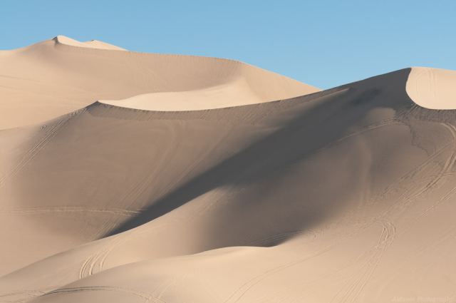 _DSC3811.jpg
