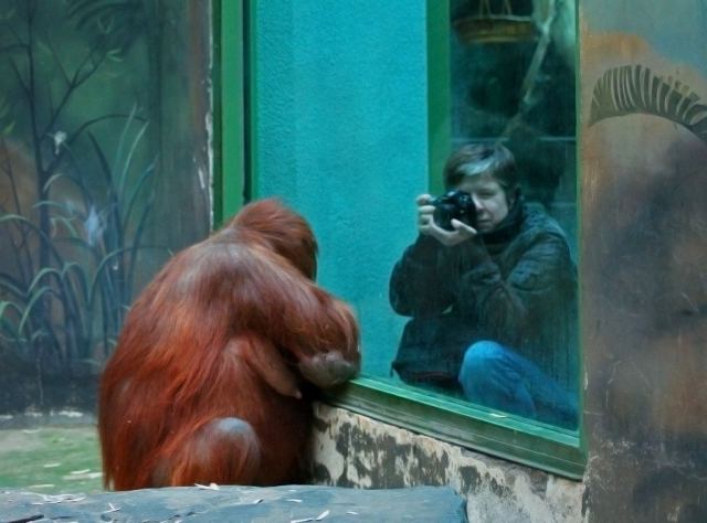 Фотосессия.