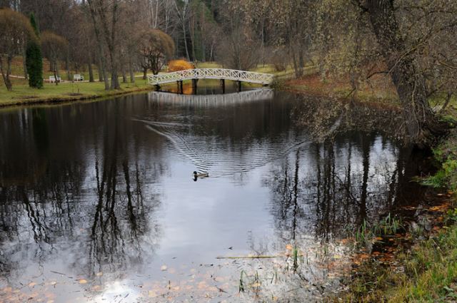 В парке поздней осенью