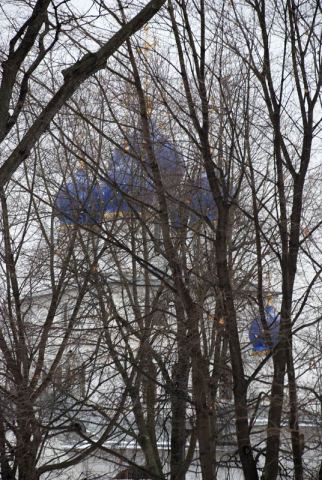 Купола