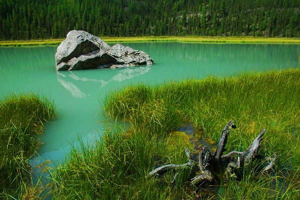 Алтайские зарисовки