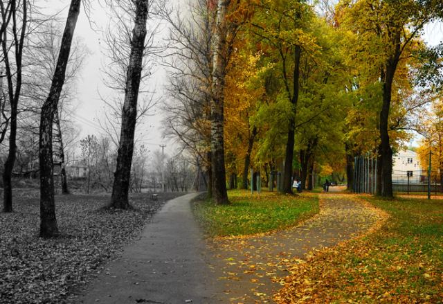 Две грани одного мира