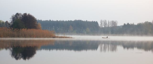 Утро браконьера