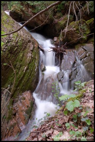 Белая вода 2