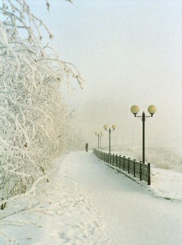 утренний туман