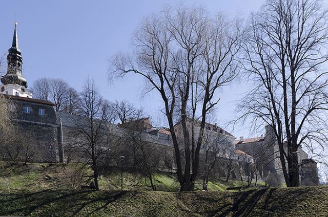DSC_0215.JPG