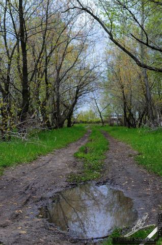 Отражение осени весной