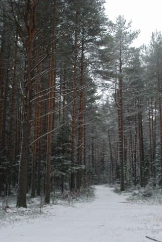 DSC_0104 [640x480].JPG