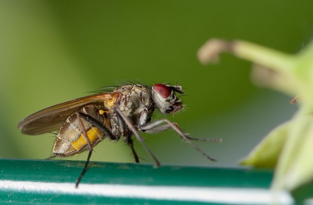DSC_4714.jpg