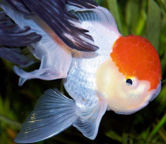 014.JPG