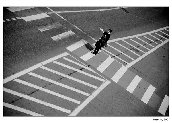 Lines.