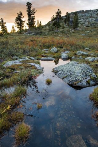 _DSC4111с.jpg