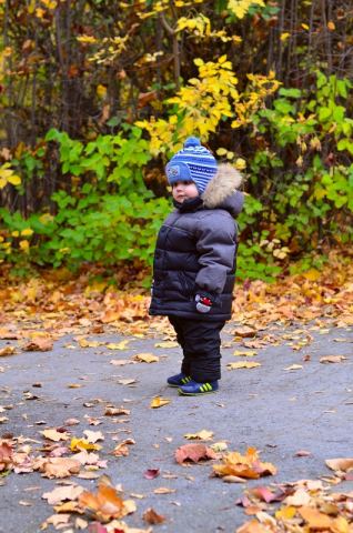 DSC_3921-1.jpg