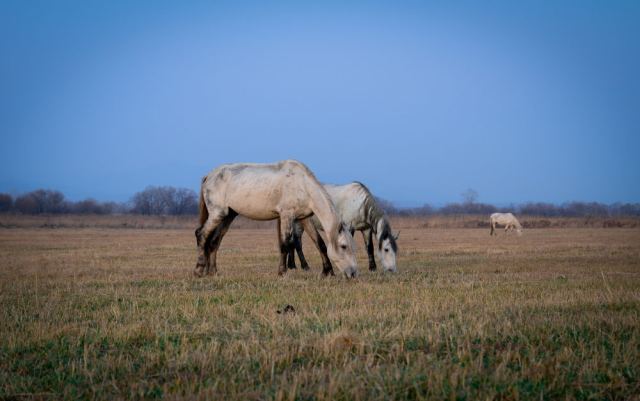 DSC_2314.jpg