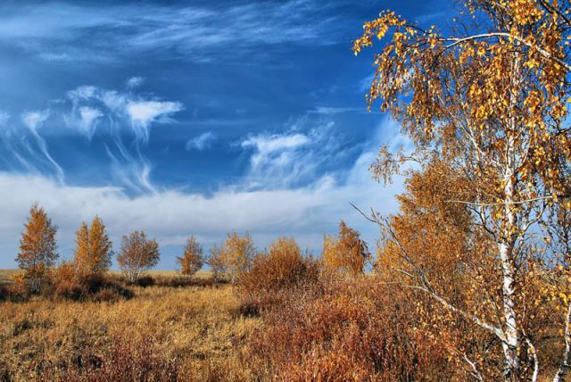 Осень золотая