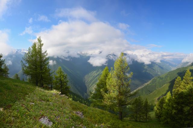 Алтай