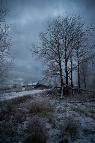 Декабрь 2