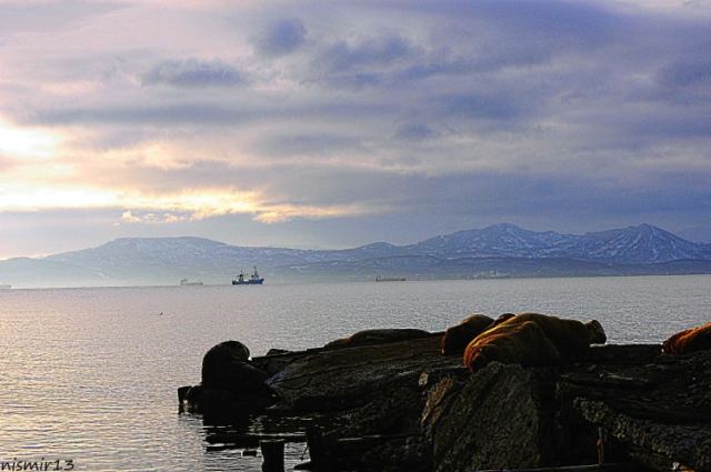 DSC_2818.JPG