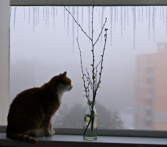 Скоро весна