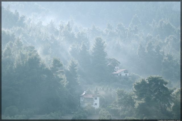 The Silence Fog