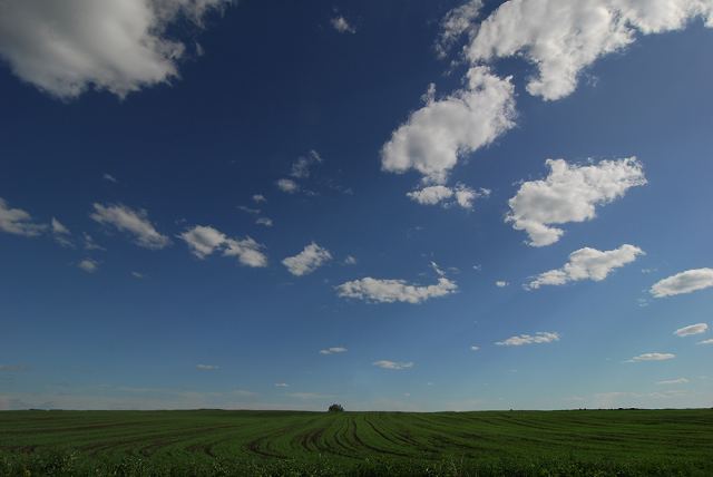Одинокий