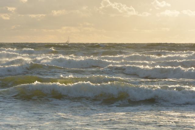 Baltica