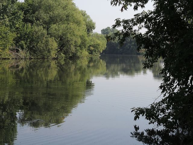№3 Сура