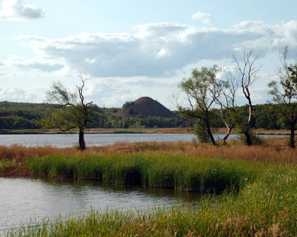 DSC_268711.jpg