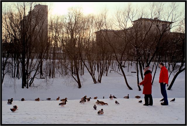 Яркие краски зимы :-)