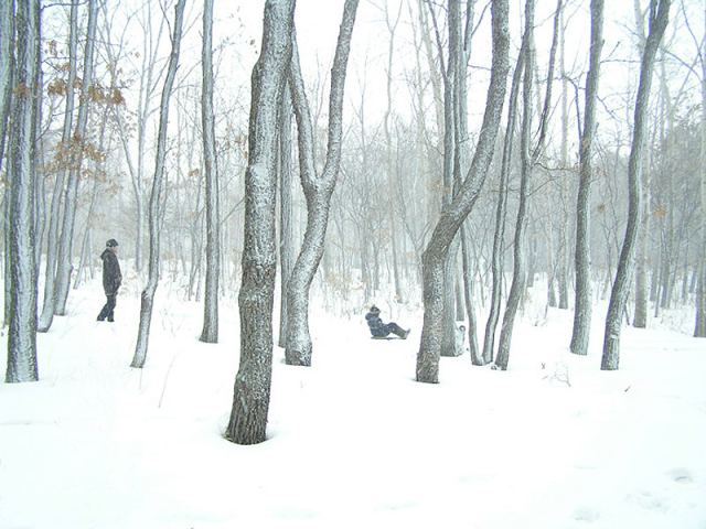 За городом