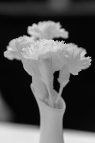 любительская фотка