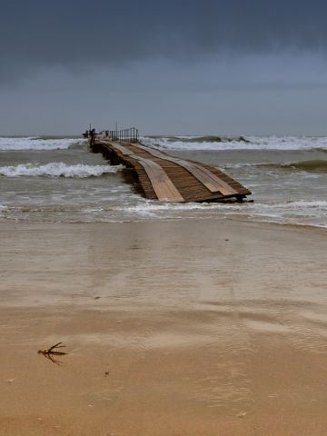 DSC_0263_1.jpg