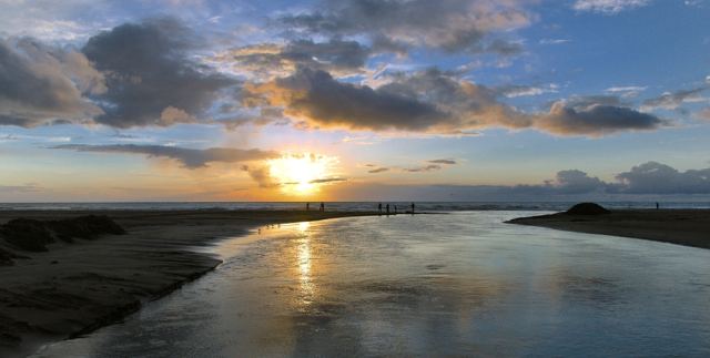 DSC_0367_1.jpg