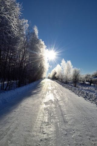 К солнцу