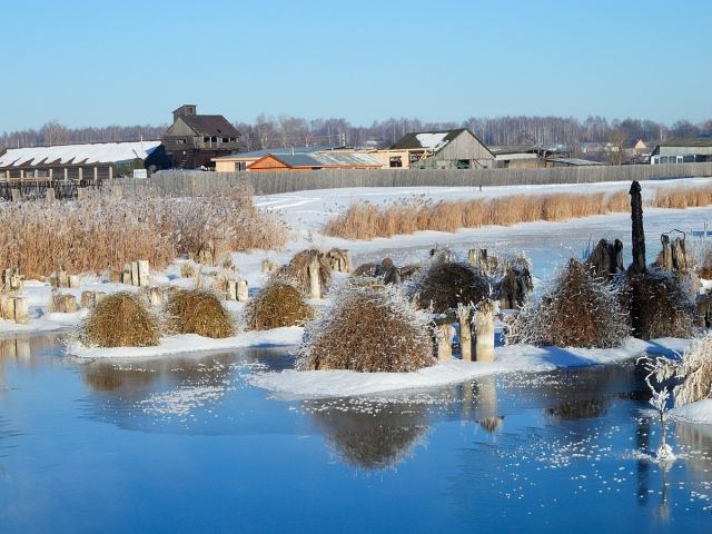 У воды