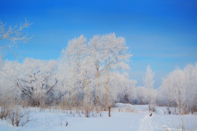 DSC_3408 res.jpg