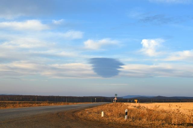 DSC_0147.jpg