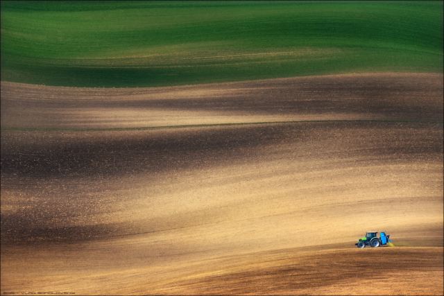 / FIELD RUNNER /