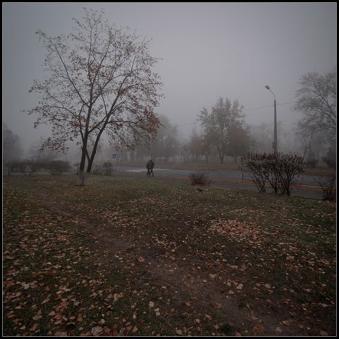 Осень... Туман... Листопад...(4 - цветной вариант) 