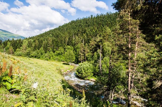 DSC_5379.jpg