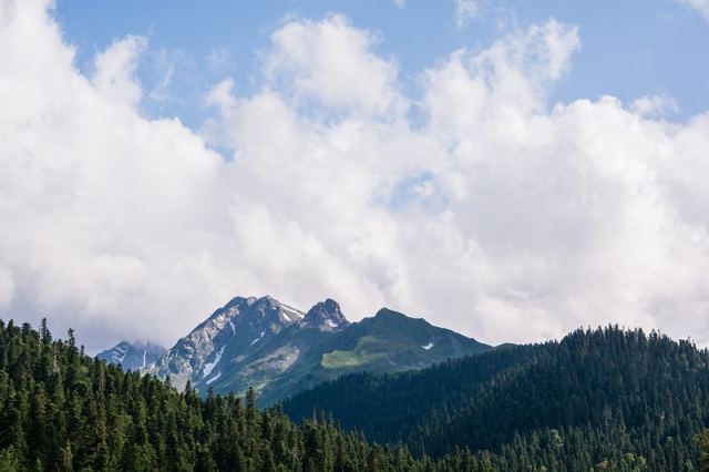 DSC_5384.jpg