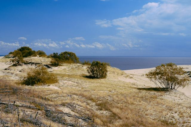 Куршская коса. Дюна Эфа