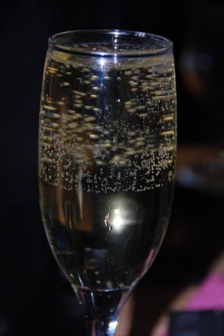 DSC_2193.jpg