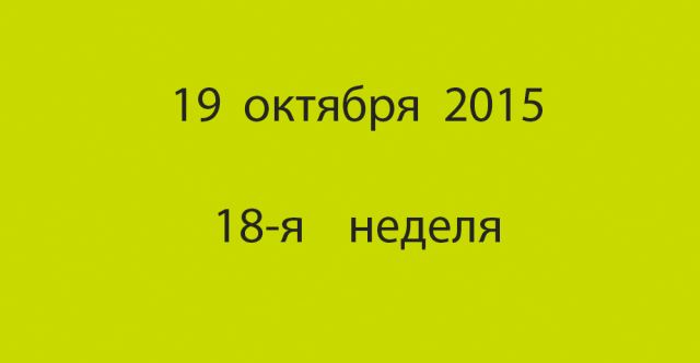 Метка 19 октября 2015